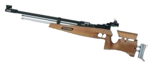 carabine-air